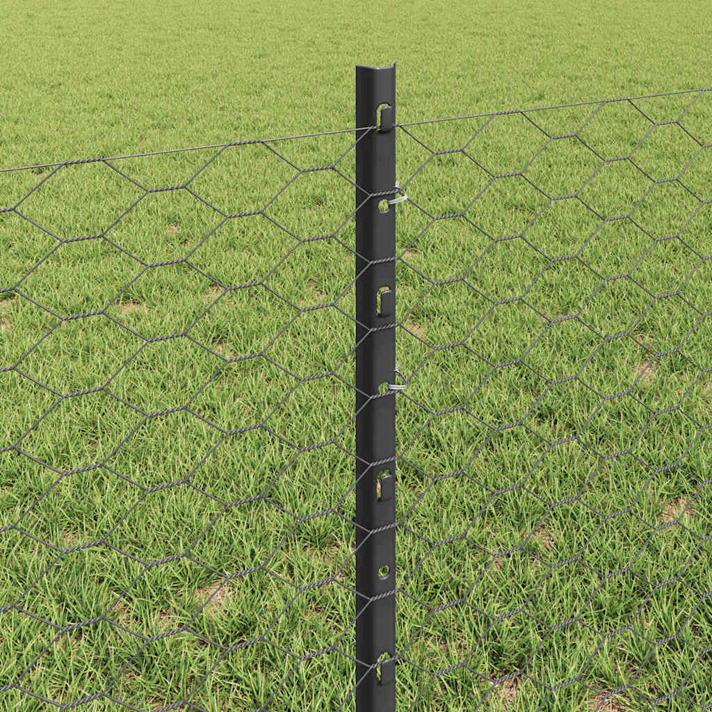 Sekskantet gjerde med post 25 x 0,6 m PVC-belagt stål Grå Mesh