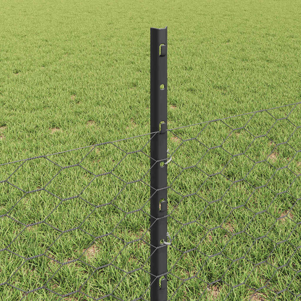 Sekskantet gjerde med post 50 x 0,5 m PVC-belagt stål Grå Mesh
