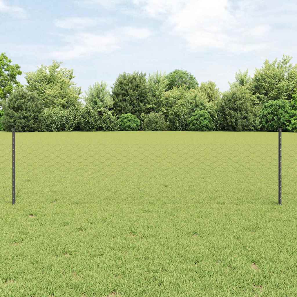 Sekskantet gjerde med post 50 x 0,5 m PVC-belagt stål Grå Mesh