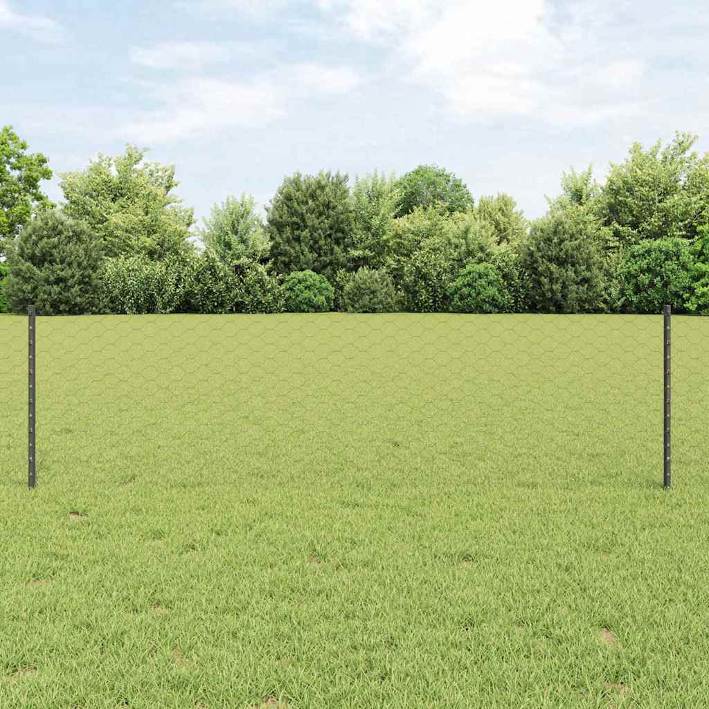 Sekskantet gjerde med post 50 x 0,6 m PVC-belagt stål Grå Mesh