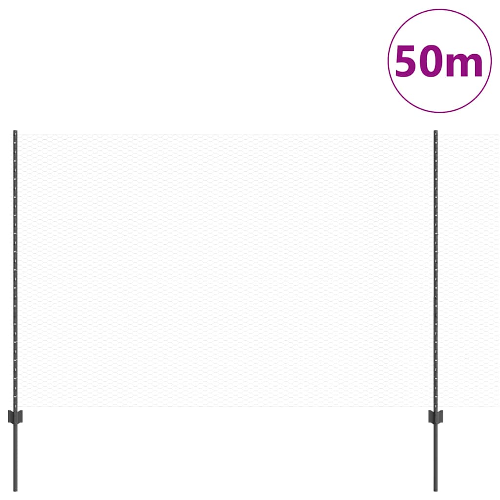 Sekskantet gjerde med post 50 x 1,6 m PVC-belagt stål Grå Mesh