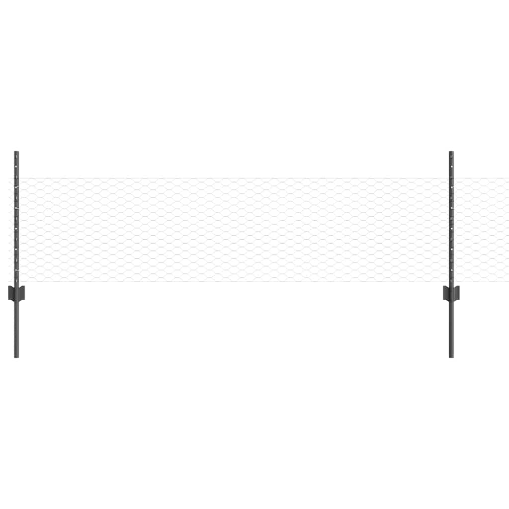 Sekskantet gjerde med post 100 x 0,5 m PVC-belagt stål Grå Mesh