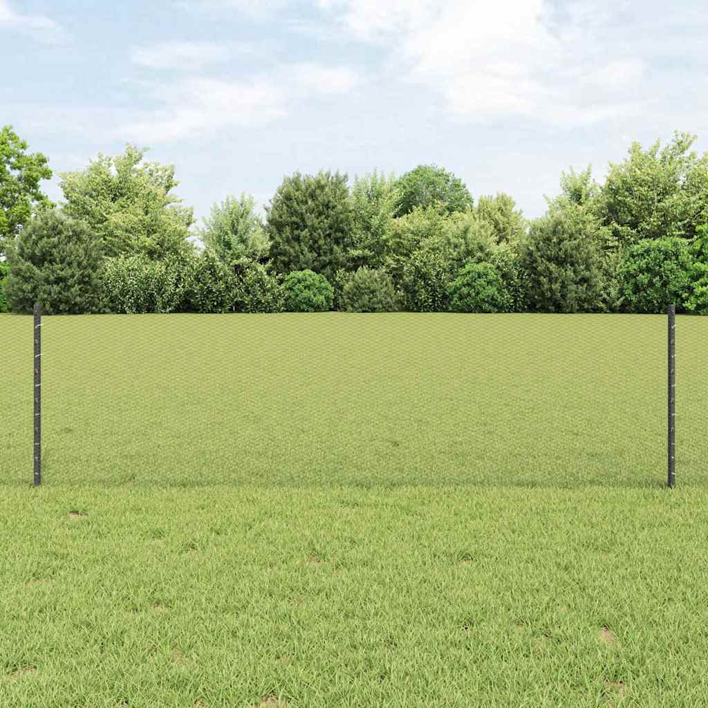 Sekskantet gjerde med post 100 x 0,6 m PVC-belagt stål Grå Mesh