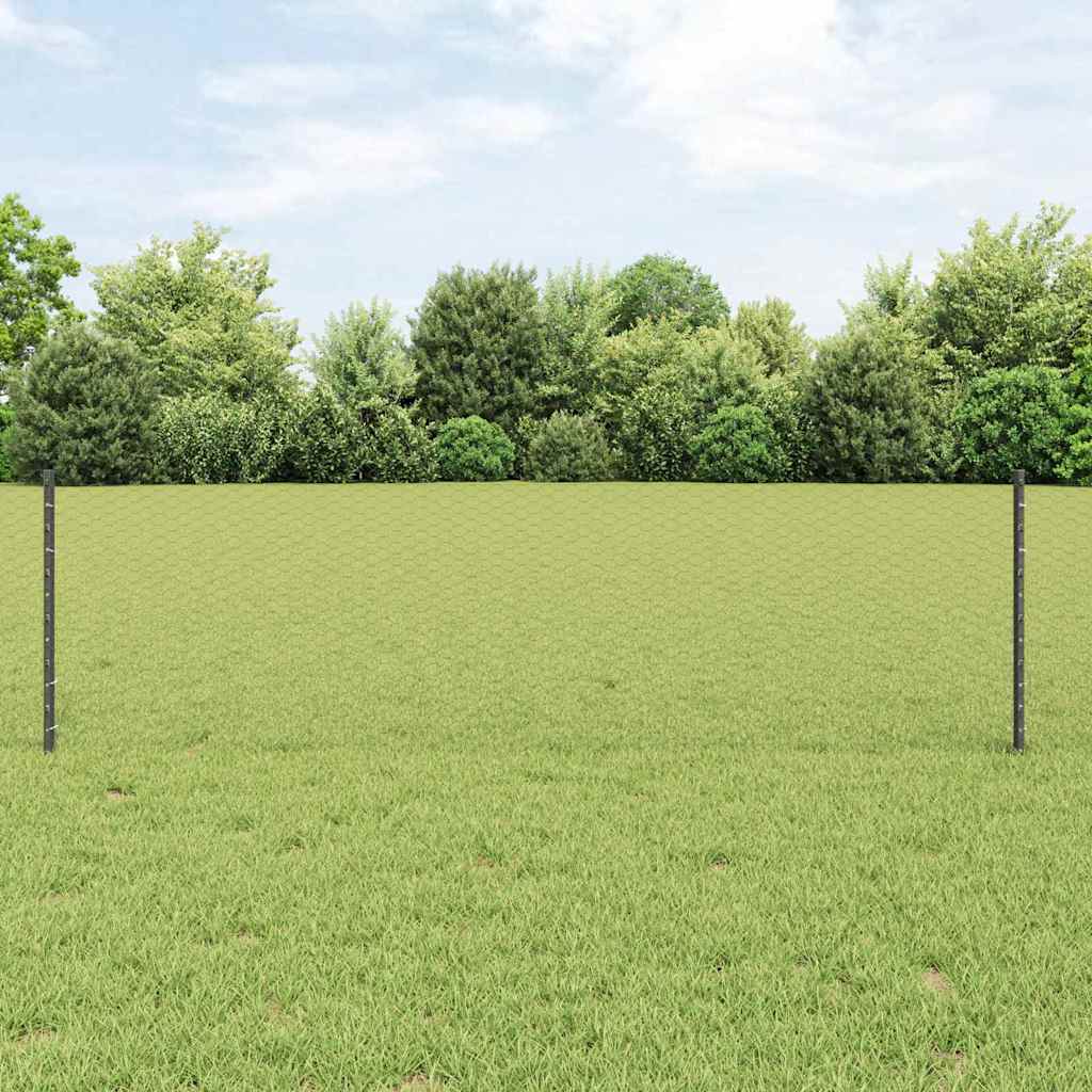Sekskantet gjerde med post 100 x 0,6 m PVC-belagt stål Grå Mesh