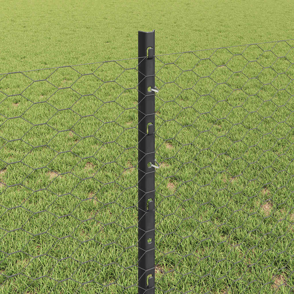Sekskantet gjerde med post 100 x 0,8 m PVC-belagt stål Grå Mesh