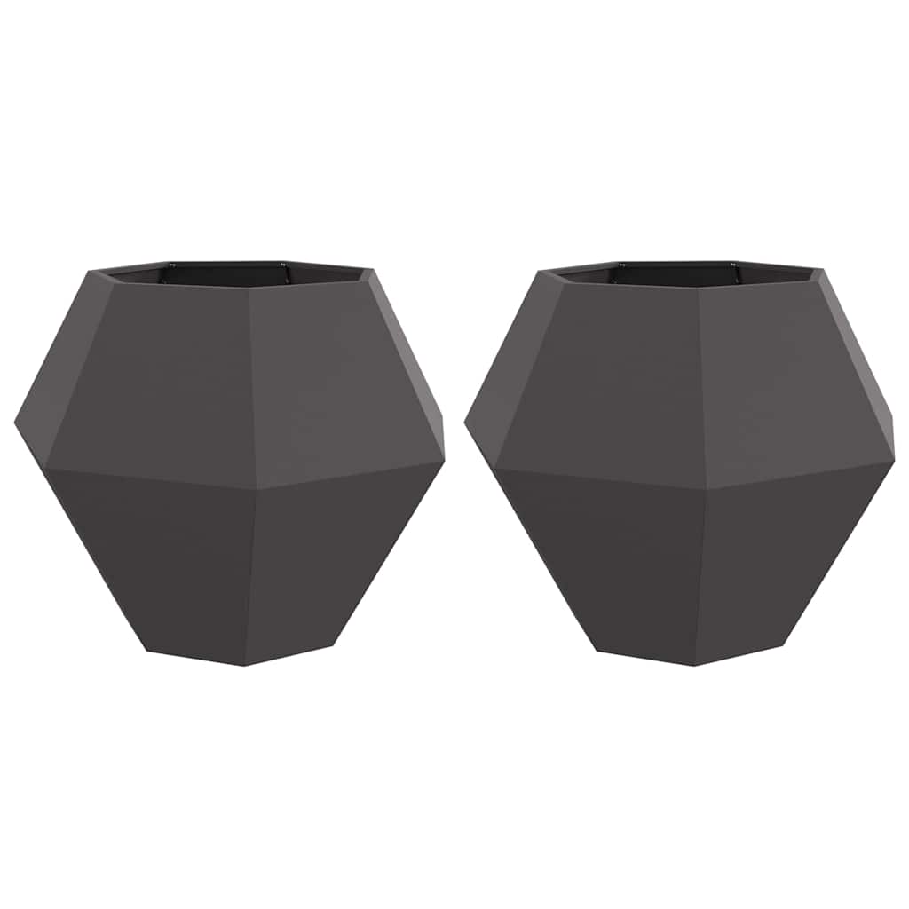 Plantekassed 2 pcs Svart 100 x 100 x 80 cm Stål