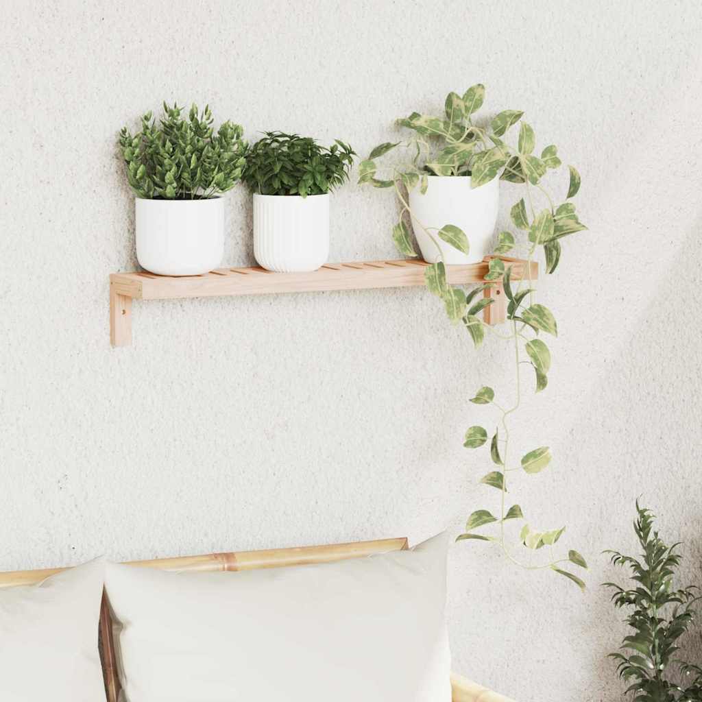 Vegghengt Hylle Naturlig 62 x 10 x 12,5 cm Massiv valnøtttre