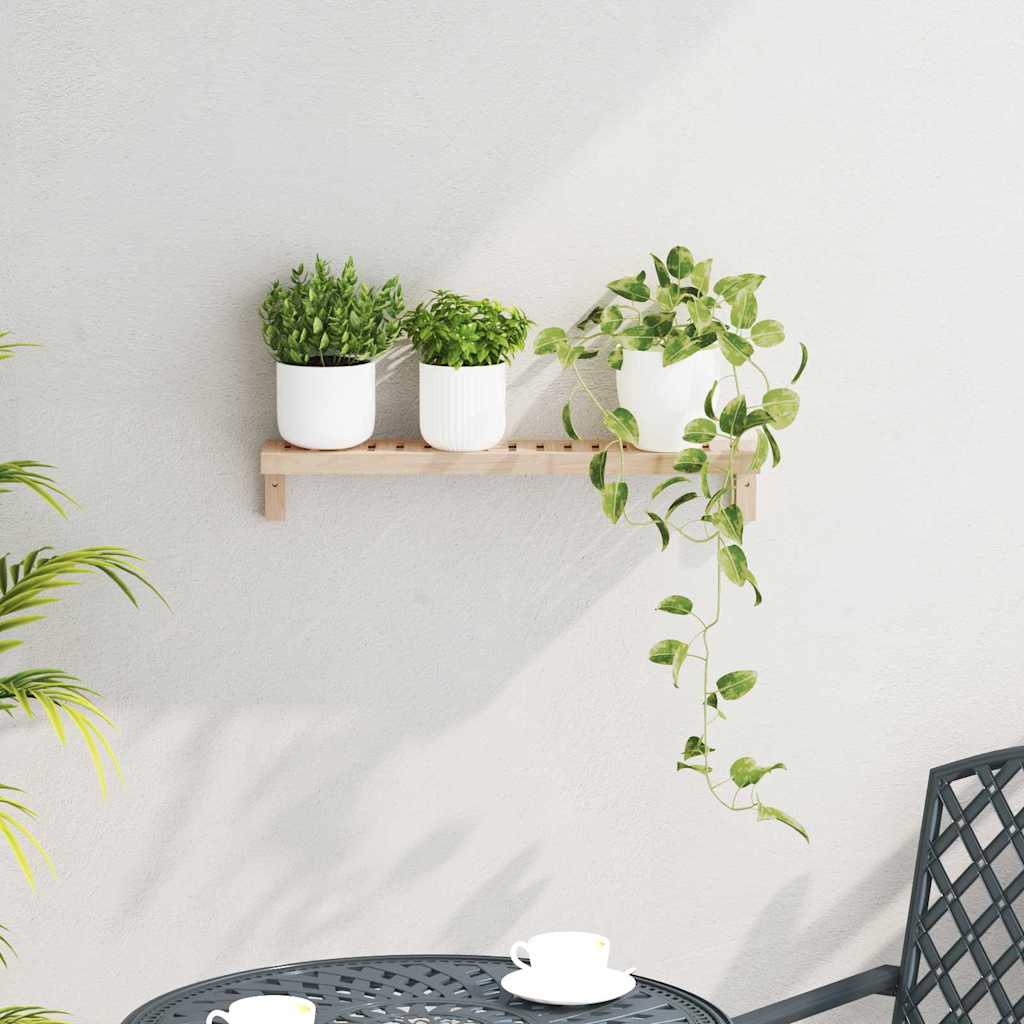 Vegghengt Hylle Naturlig 62 x 10 x 12,5 cm Massiv valnøtttre