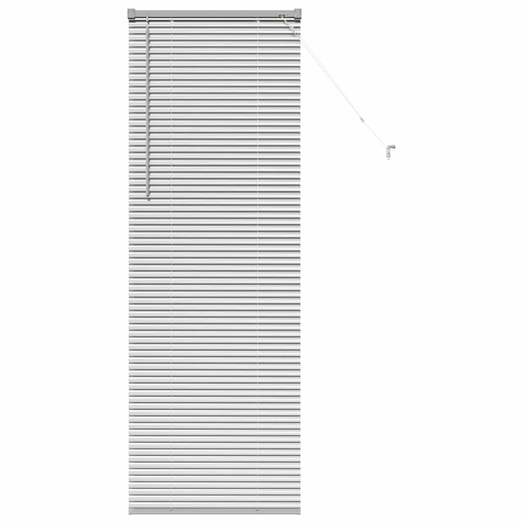 Venetianspersienner sølv 175 x 60 cm Aluminium