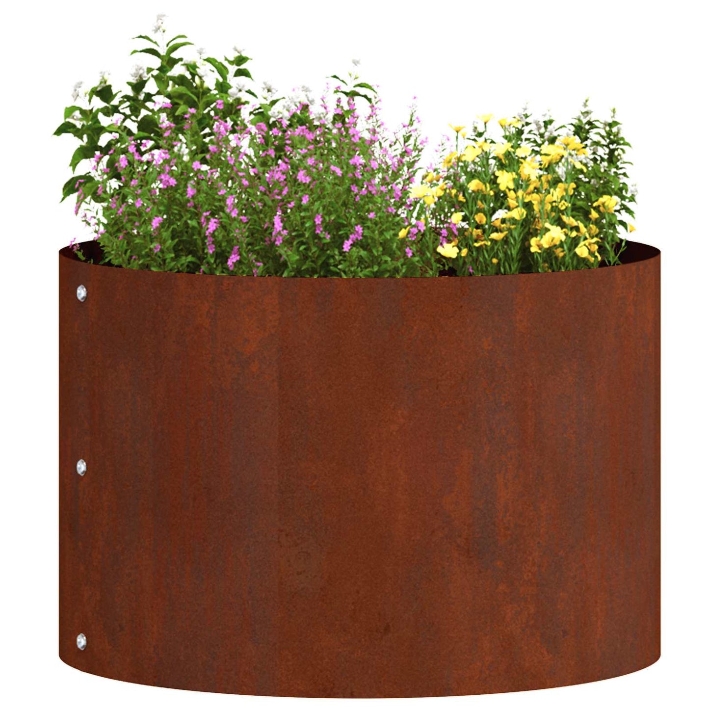 Plante ring 5 pcs Brun 30 x 30 x 20 cm Cortenstål