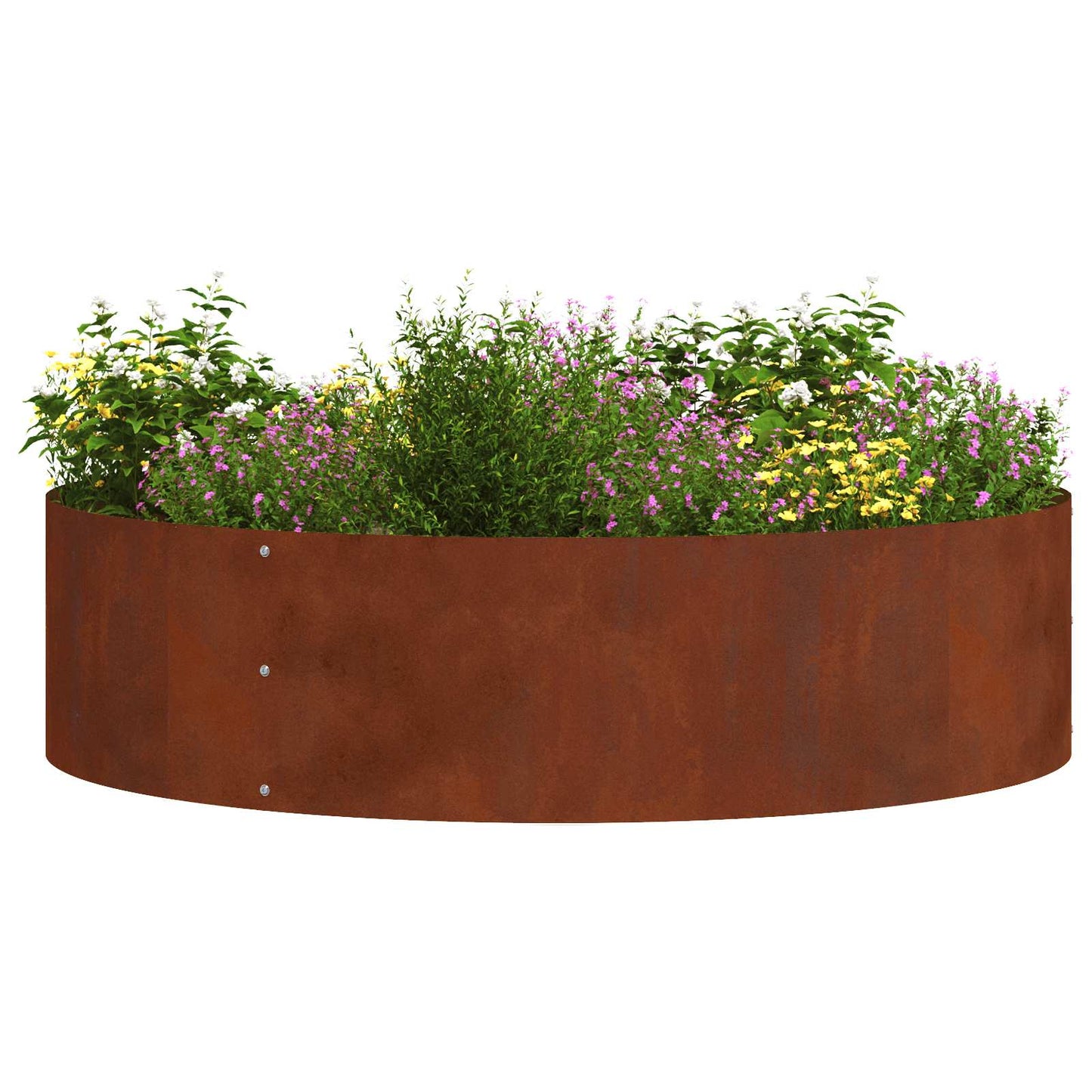 Plante ring Brun 80 x 80 x 12 cm Cortenstål