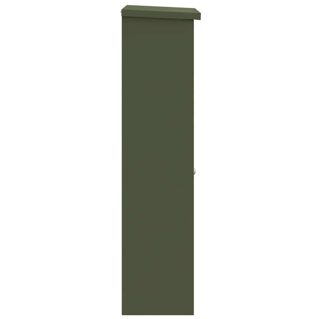 Pakkeinnkast med lagring Olivengrønn 44,5 x 29 x 110,5 cm Stål