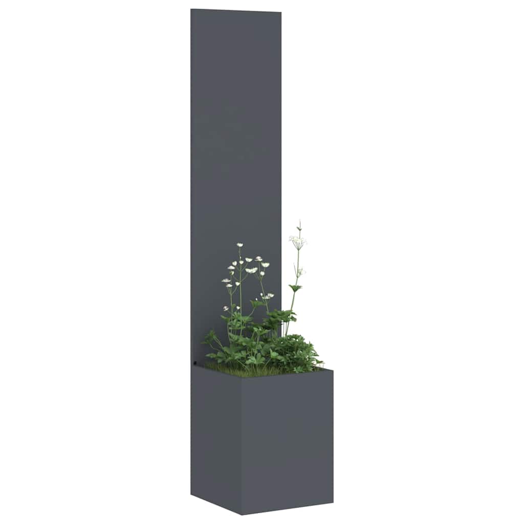 Hageprivat skjerm Antrasitt 32 x 32 x 150 cm Kaldvalsestål