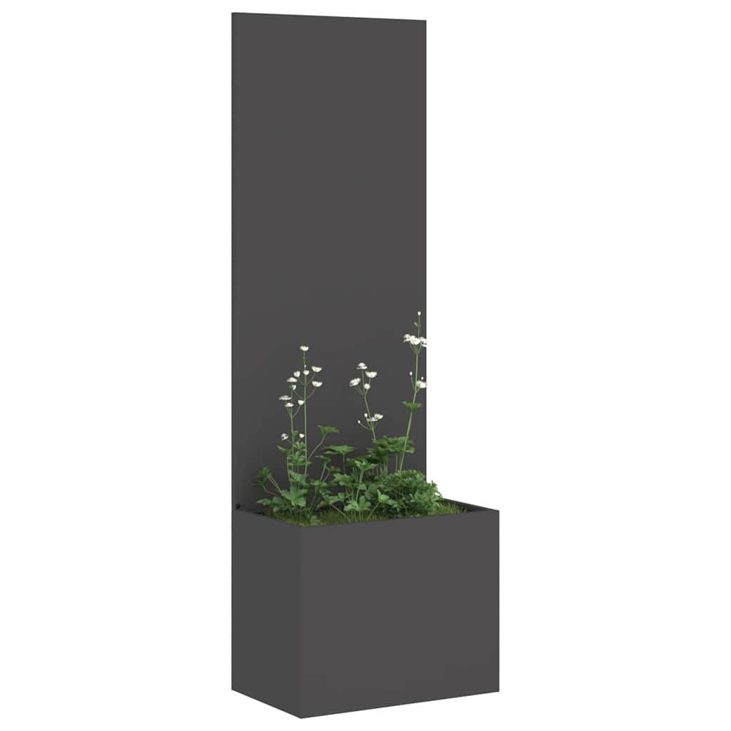 Hageprivat skjerm Fretwork Svart 50 x 150 cm Kaldvalsestål