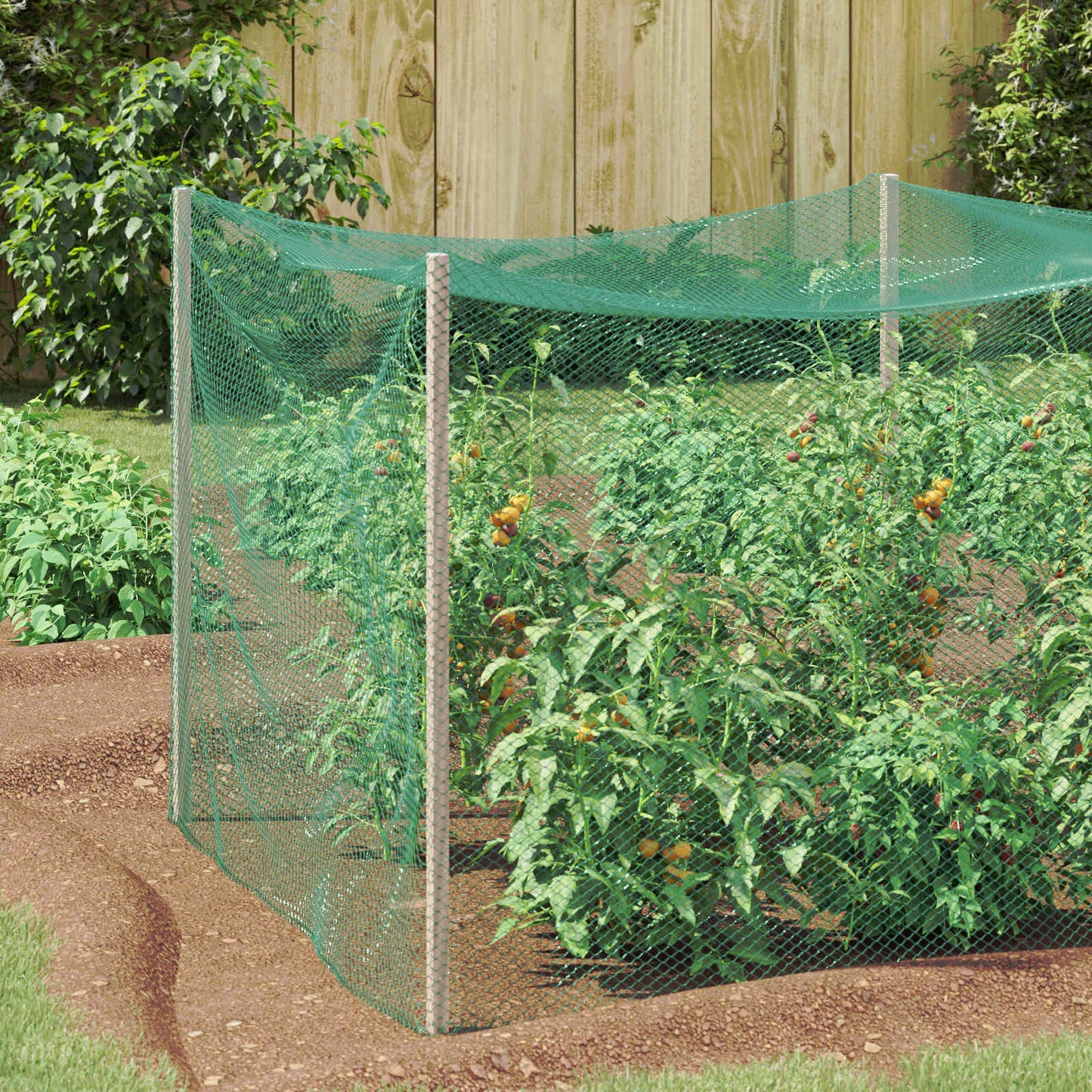 Fuglebeskyttelsesnett grønn 2 x 5 m Polyethylen