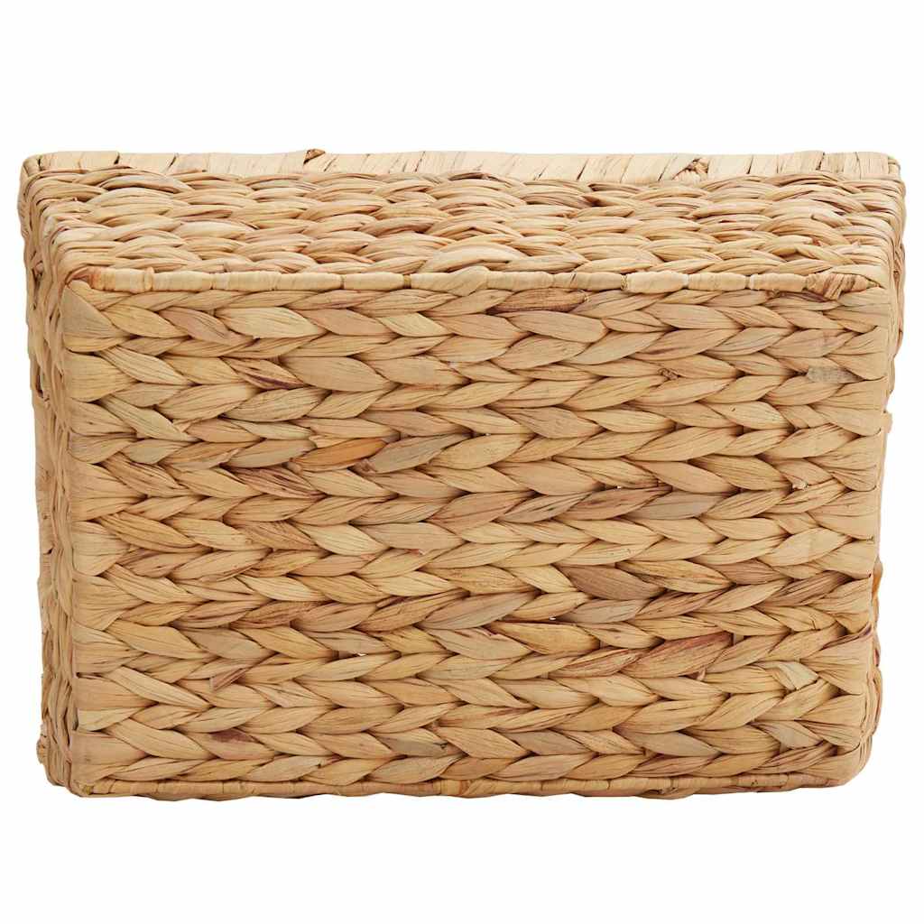 Oppbevaringskurver 2 pcs Naturlig 38 x 28 x 15 cm Vannhyasint