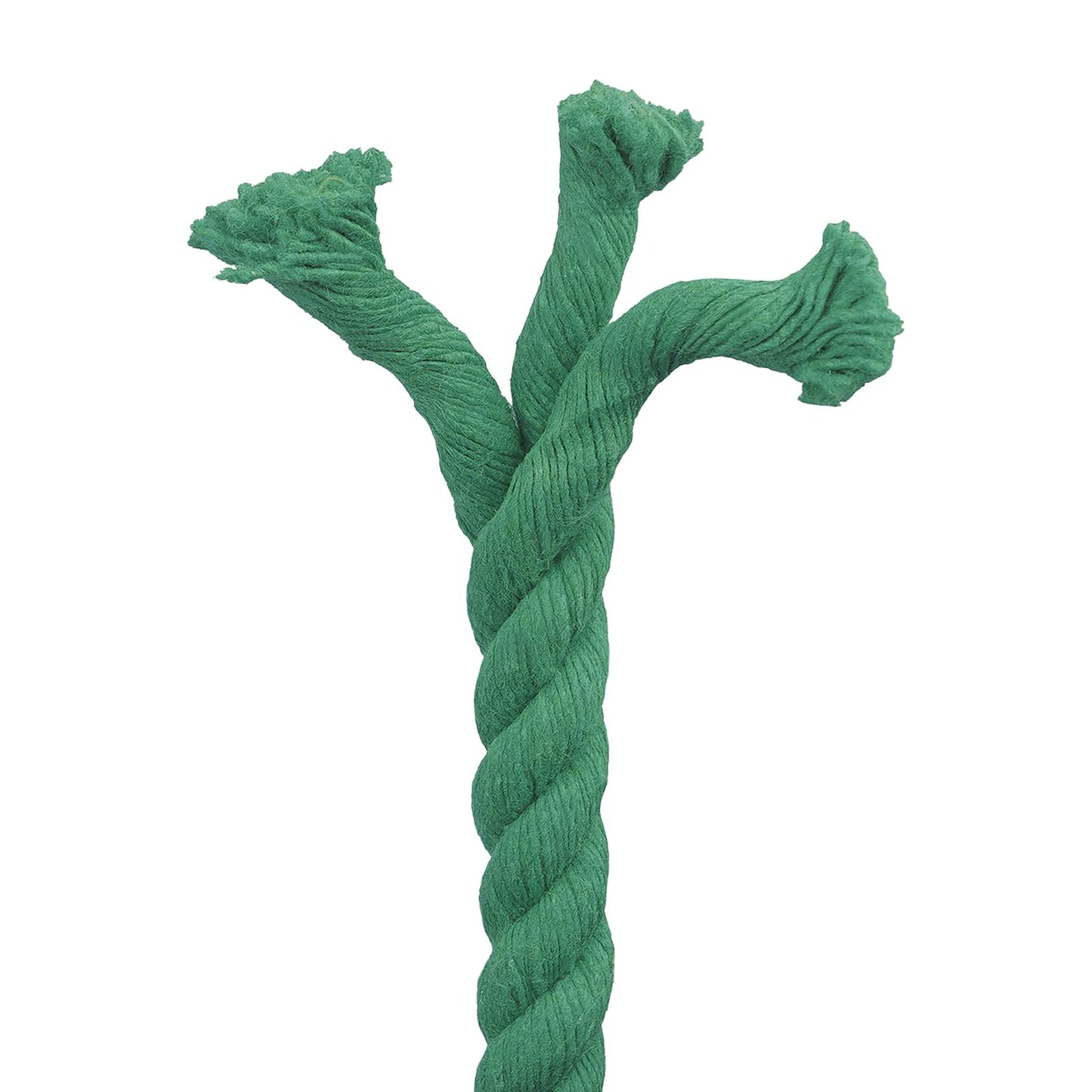 Bomull Tau 20 mm 25 m Grønn 100% Bomull