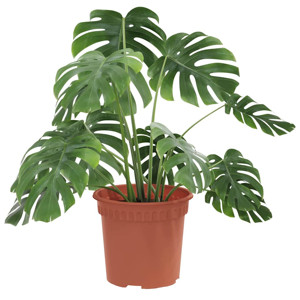 Rund Blomsterpotte 24 pcs Klinker Rød Ø 15 x 12 cm Plast