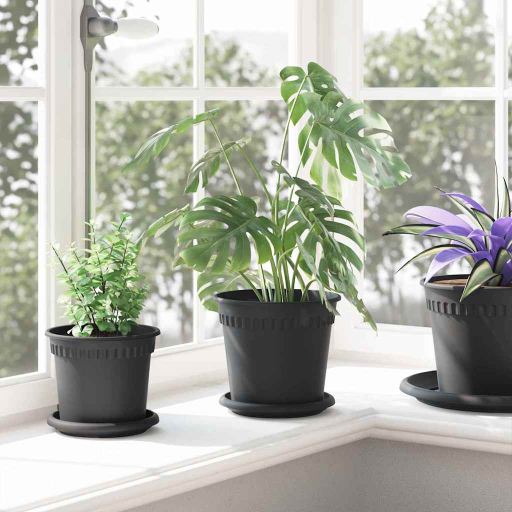 Rundt Blomsterbrett 24 pcs Svart Ø 15,5 x 2 cm Plast