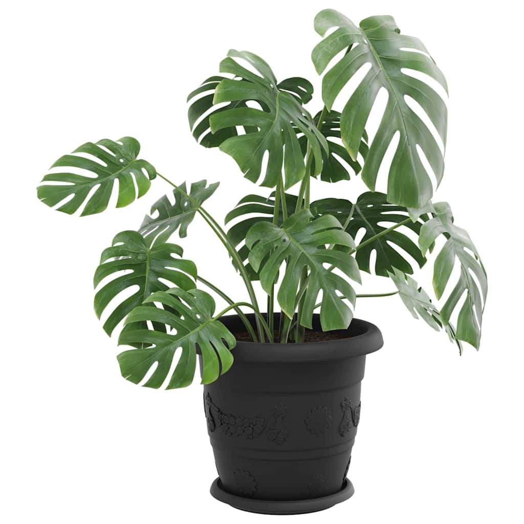 Rundt Blomsterbrett 24 pcs Svart Ø 21,5 x 2,5 cm Plast