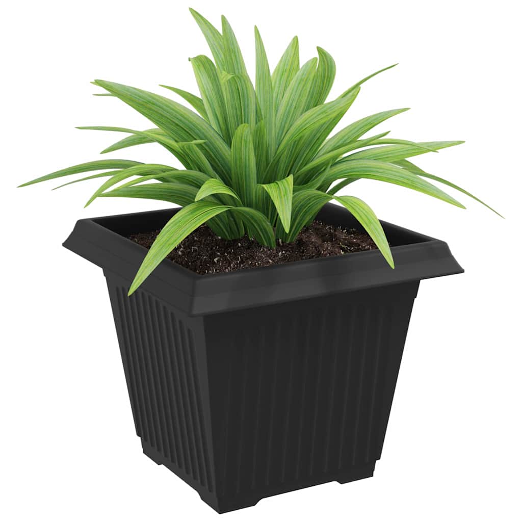 Firkantet Blomsterpotte 6 pcs Svart 38 x 38 x 30 cm Plast