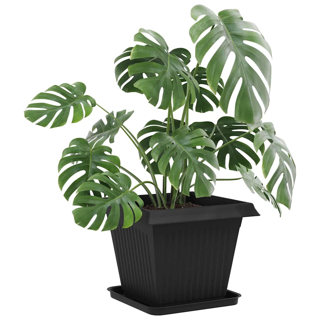 Firkantet Blomsterbrett 6 pcs Svart 32 x 32 x 2,5 cm Plast