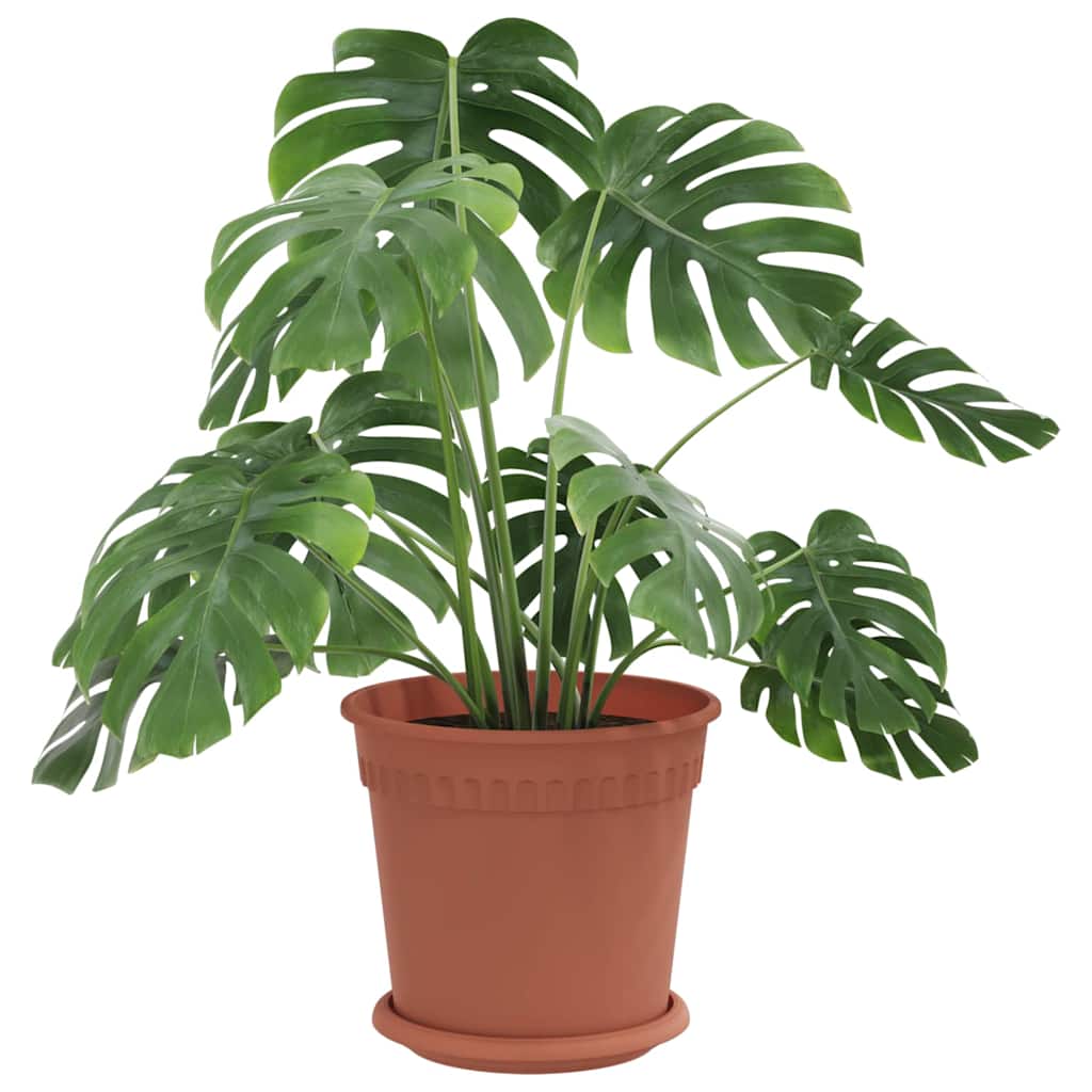 Plantepotter 6 pcs Klinker Rød Ø 19 x 16 cm Plast