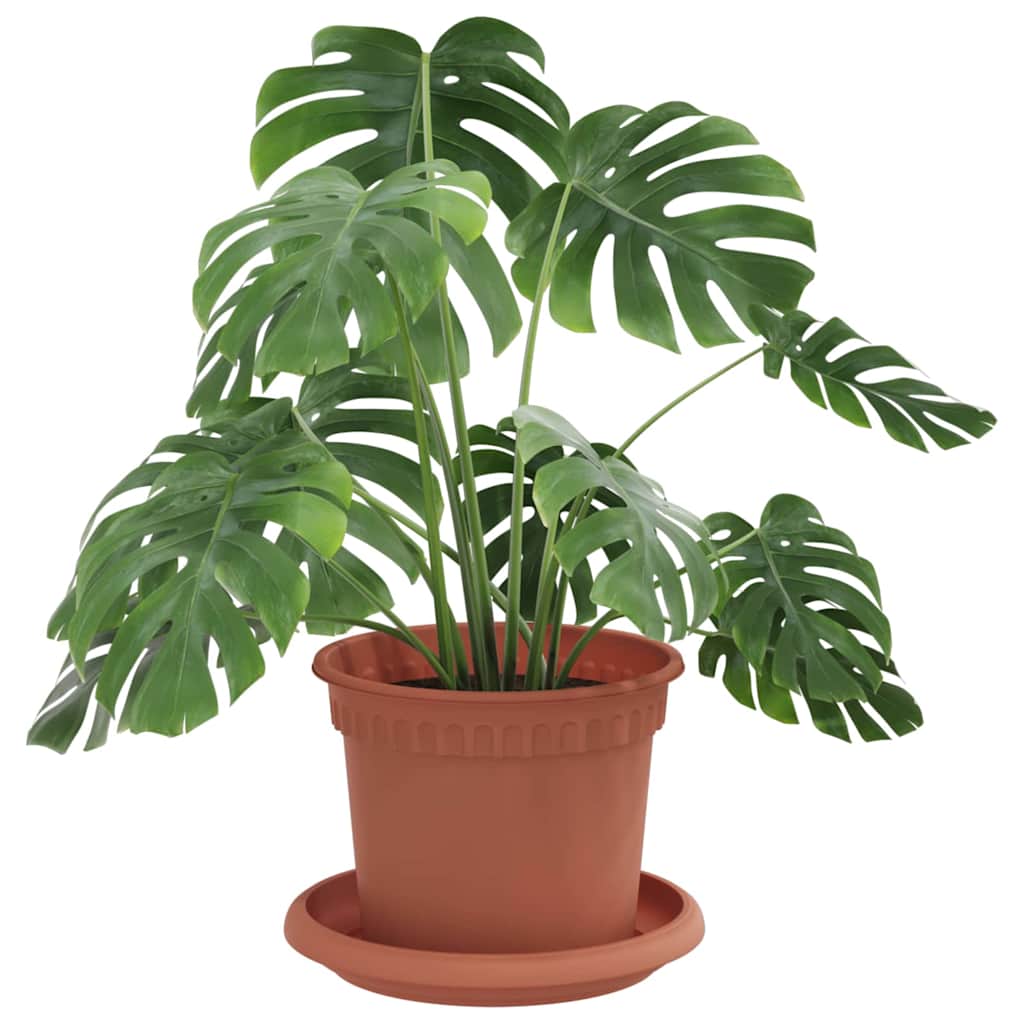 Plantepotter 24 pcs Klinker Rød Ø 12,5 x 10 cm Plast