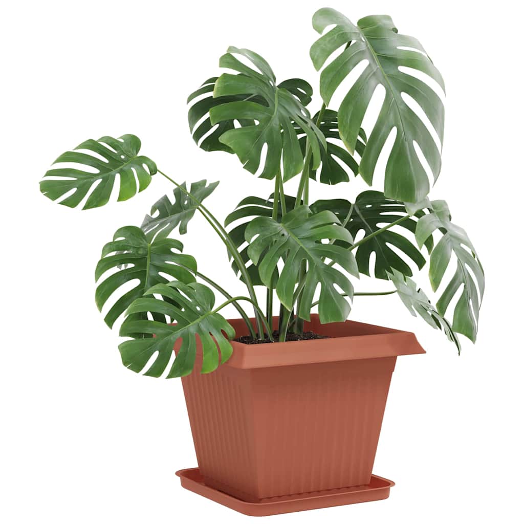 Plantepotter 6 pcs Klinker Rød 38 x 38 x 30 cm Plast