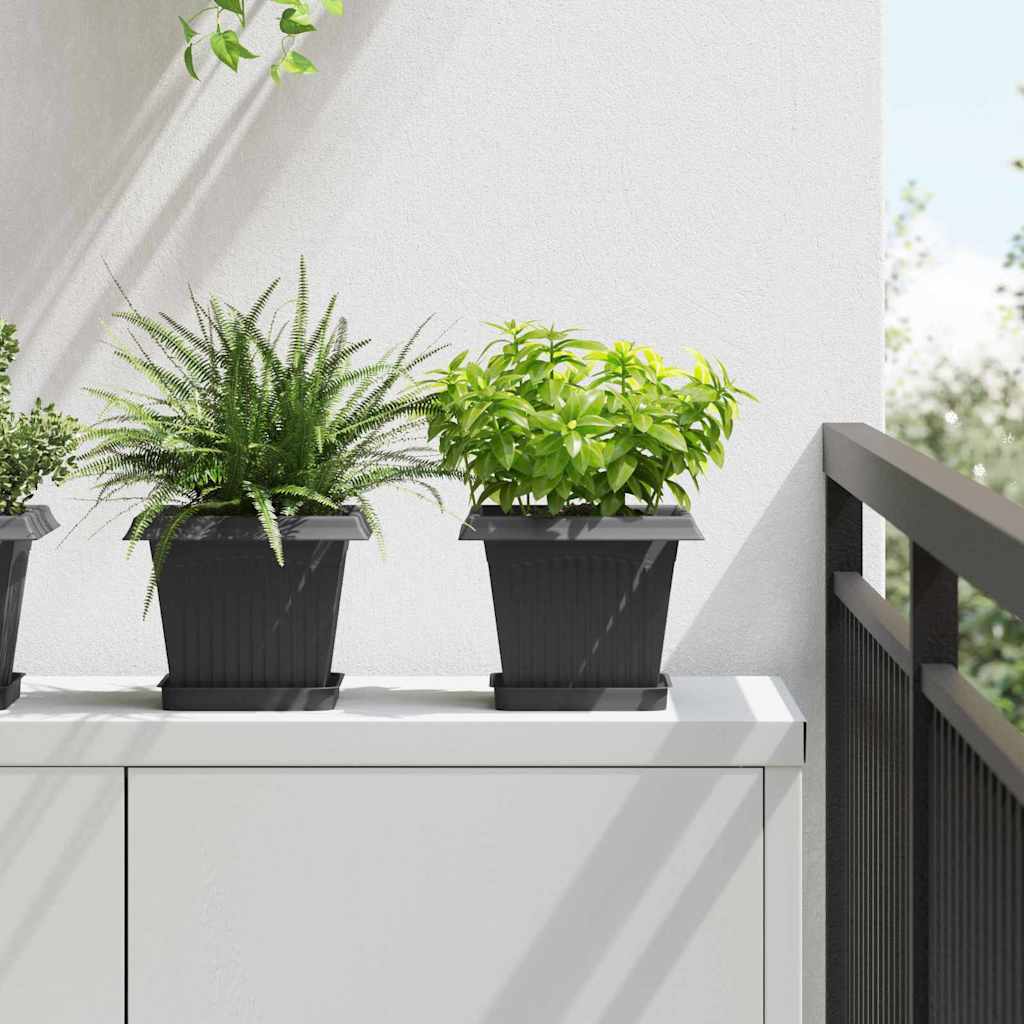 Plantepotter 6 pcs Svart 20 x 20 x 16 cm Plast