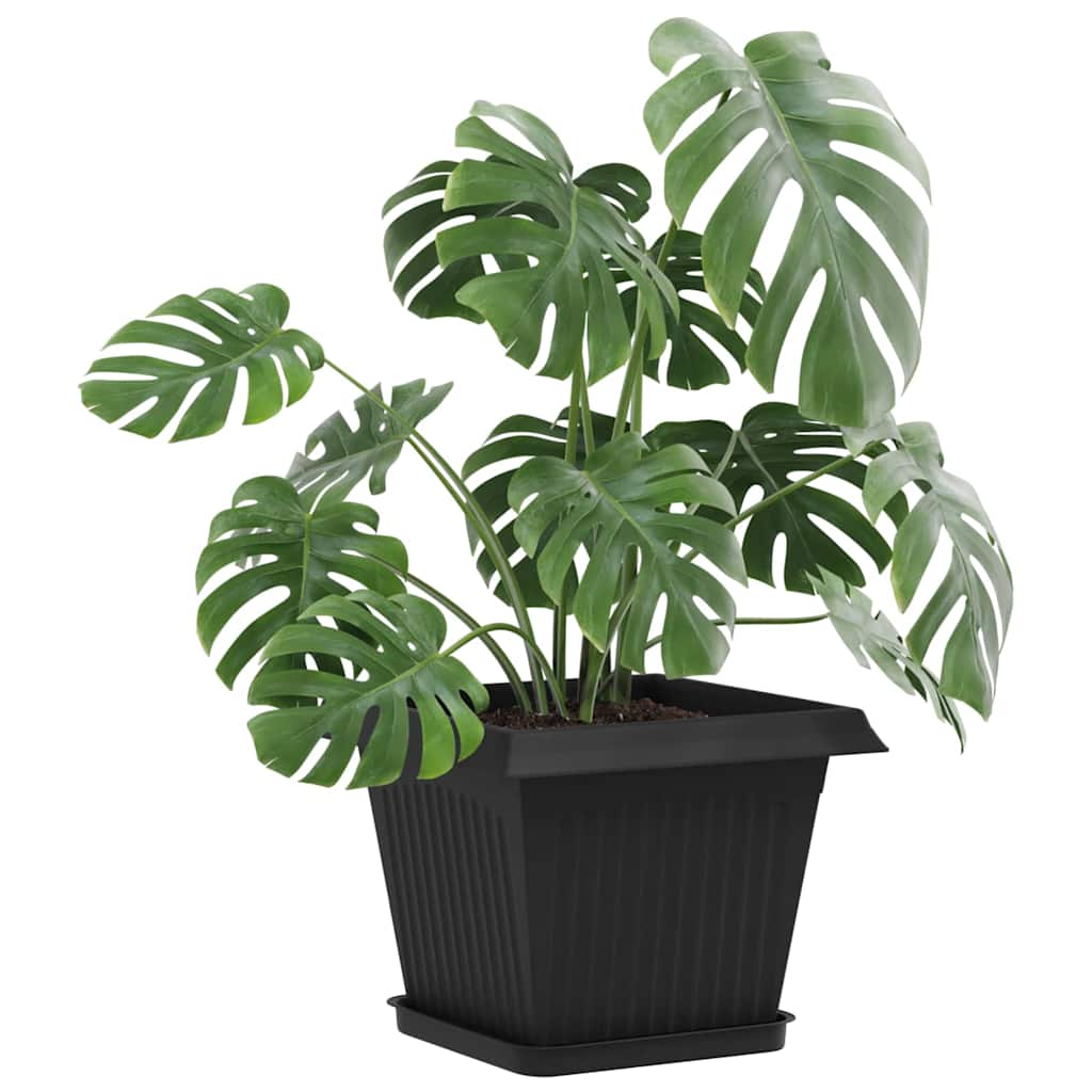 Plantepotter 6 pcs Svart 28,5 x 28,5 x 22 cm Plast