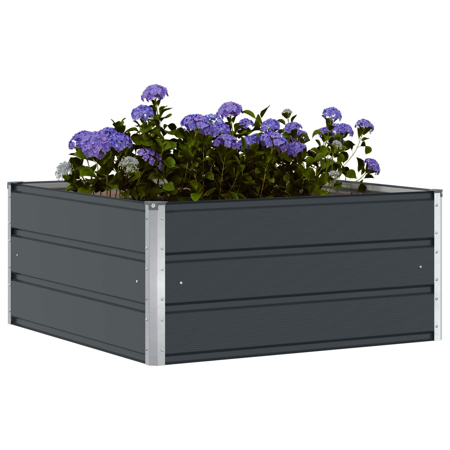 Plantekassed Antrasitt 100 x 100 x 45 cm Stål