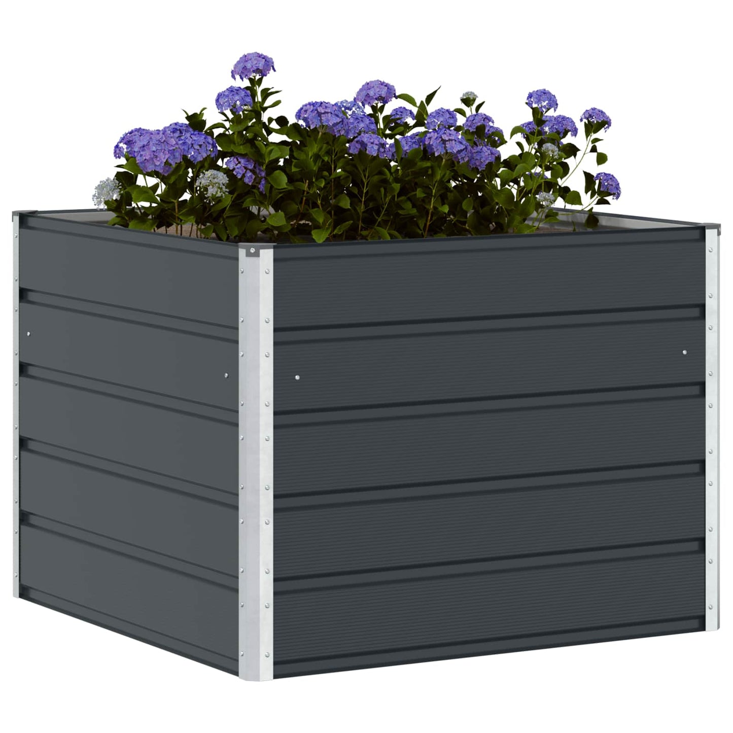 Plantekassed Antrasitt 100 x 100 x 75 cm Stål