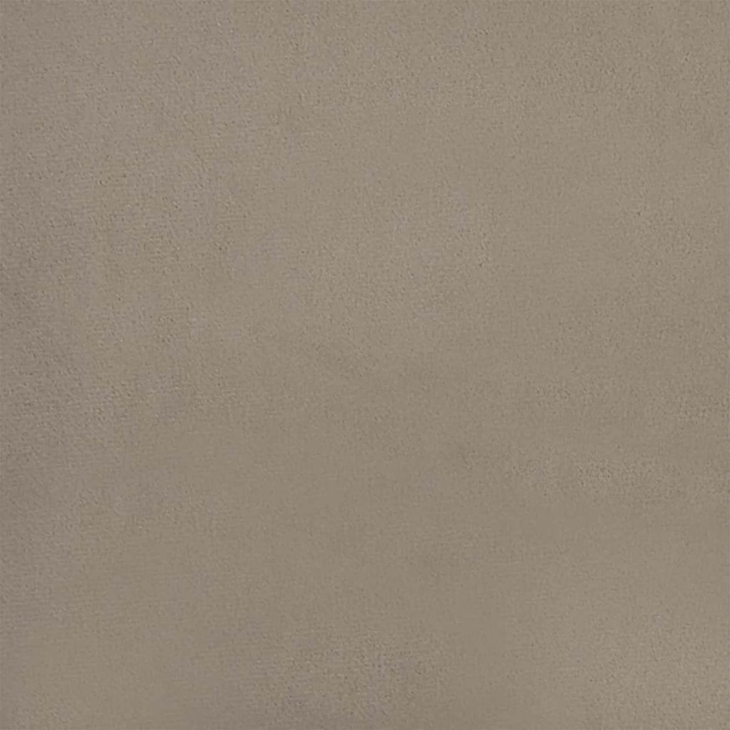 Spisestuestol 2 pcs Lysegrå 55 x 59,5 x 77 cm Fløyel vidaXL