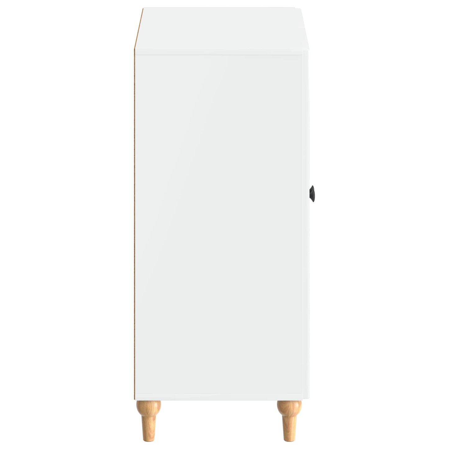Sko Skap ALKMAAR 59,5 x 39,5 x 90 cm Konstruert tre