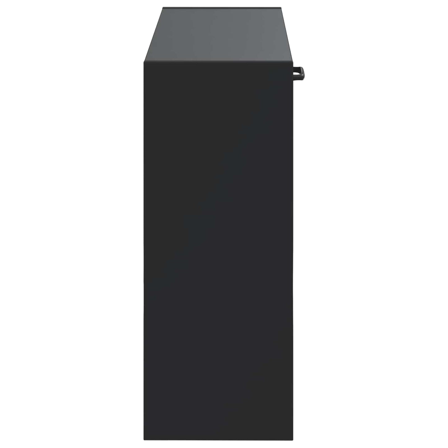 Vegghengt Skoskap UTRECHT 71 x 17 x 43 cm Konstruert tre Svart