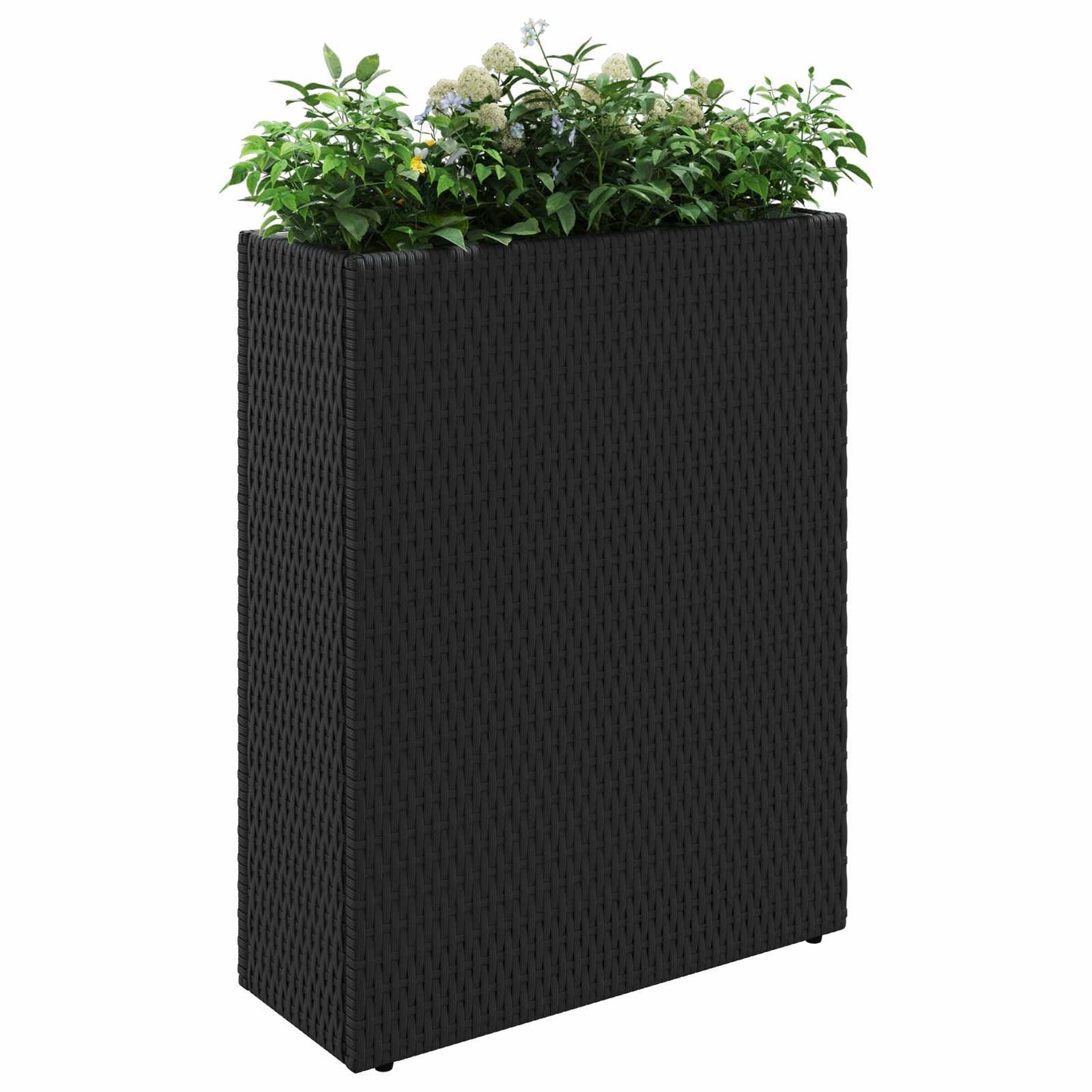 Høy planter Svart 55 x 22 x 70 cm polyrotting