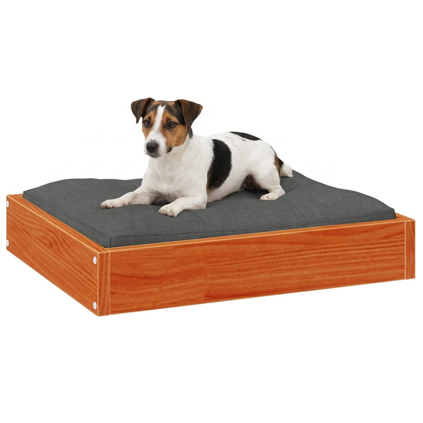 Hundeseng Vokset Brun 51,5 x 44 x 9 cm Massiv furu