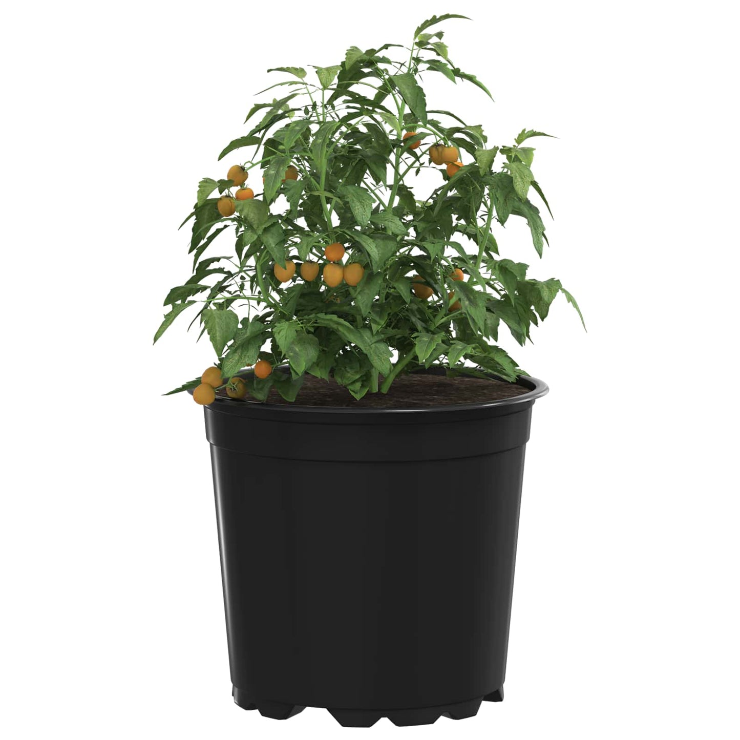 Blomsterpotte 100 pcs Svart Ø 15 x 13 cm Plast