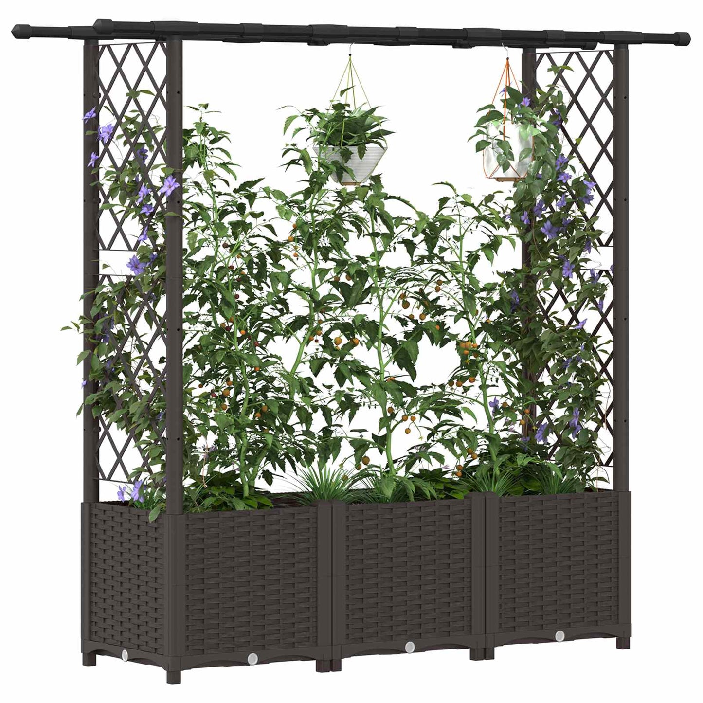 Hevet Bed med Trellis og Tak Brun 162,5 x 40 x 138 cm PP