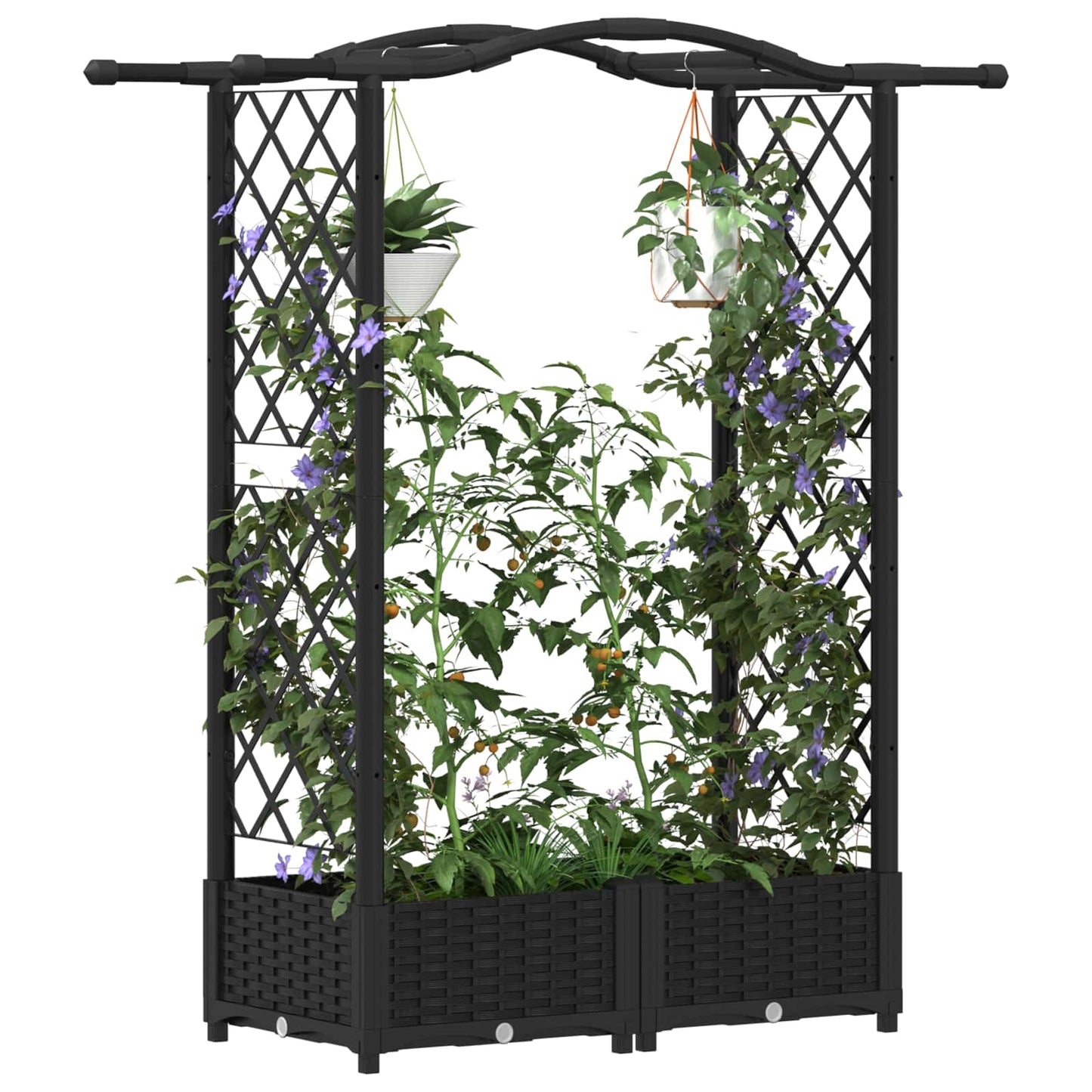 Hevet Bed med Trellis og Tak Svart 124 x 40 x 125 cm PP