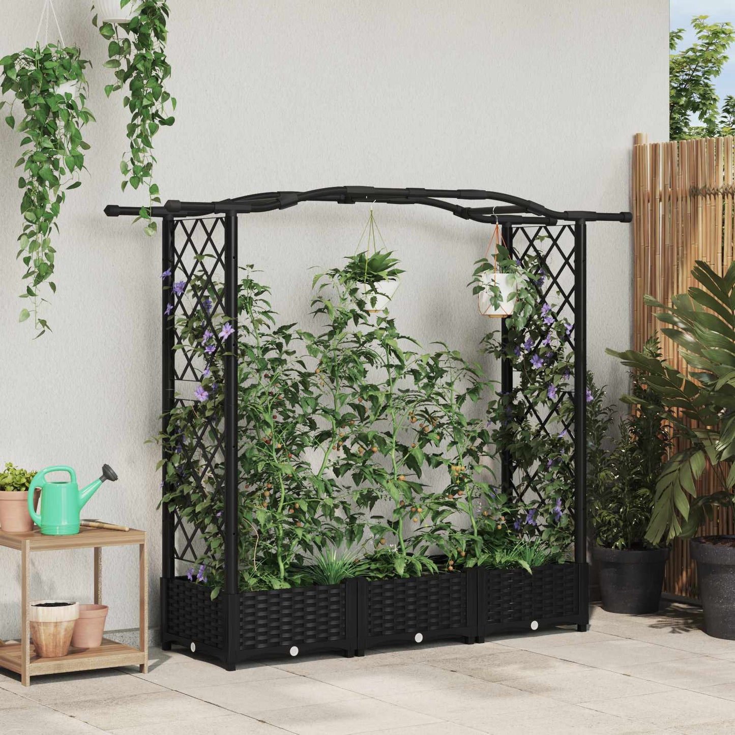 Hevet Bed med Trellis og Tak Svart 169 x 40 x 125 cm PP