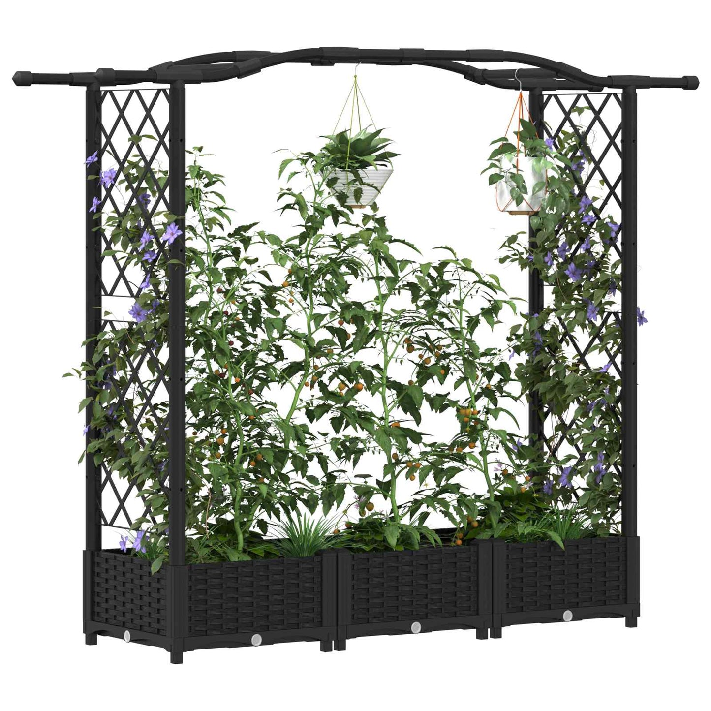 Hevet Bed med Trellis og Tak Svart 169 x 40 x 125 cm PP