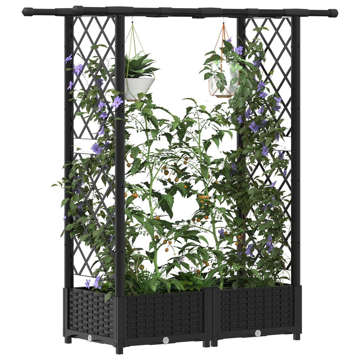 Hevet Bed med Trellis og Tak Svart 122,5 x 40 x 123 cm PP