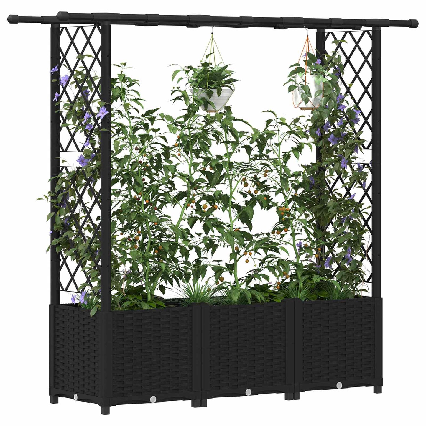 Hevet Bed med Trellis og Tak Svart 162,5 x 40 x 138 cm PP