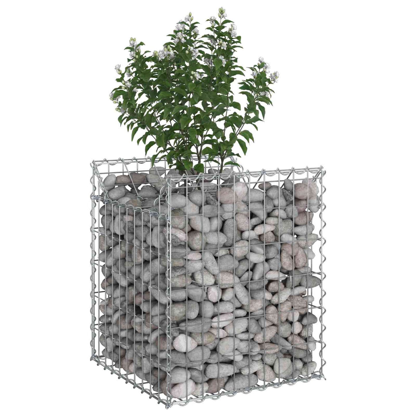 Gabion hevet seng sølv 50 x 50 x 60 cm Galvanisert Stål vidaXL