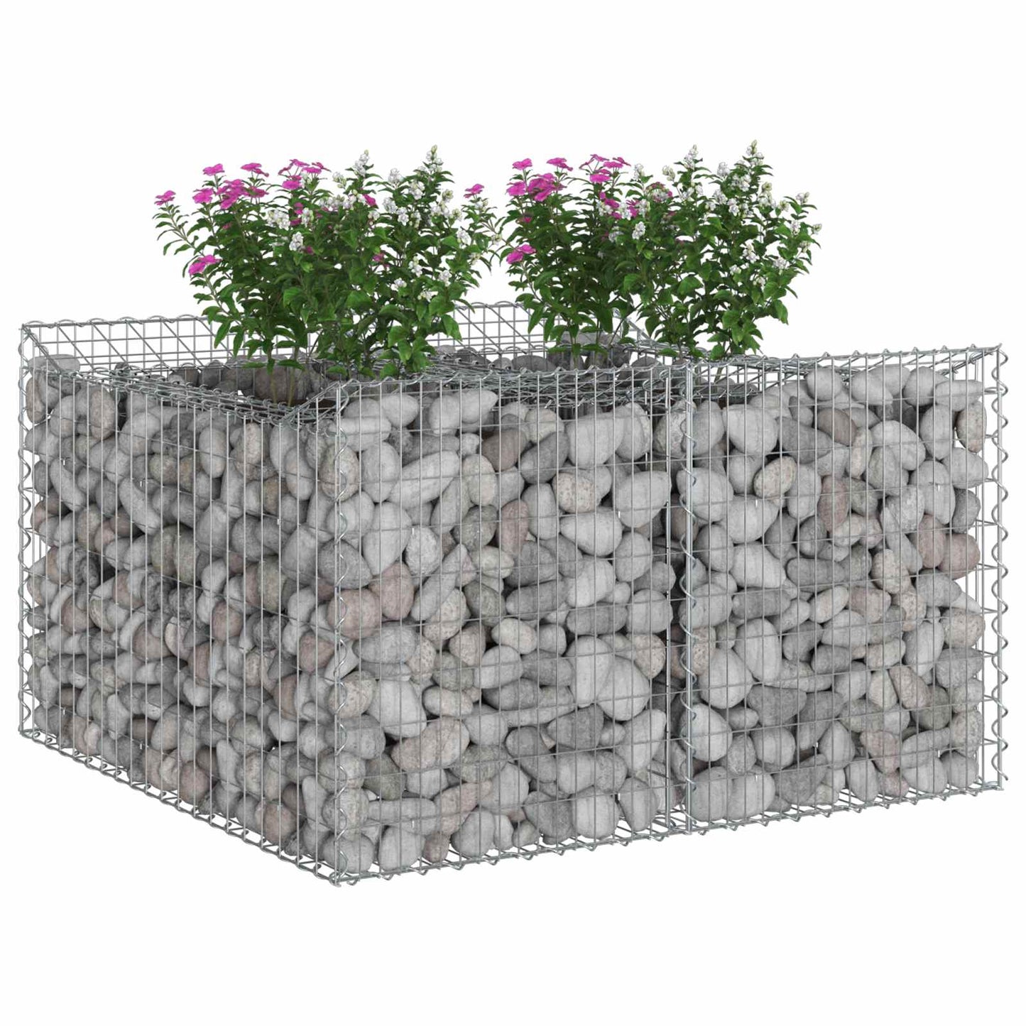 Gabion hevet seng Sølv