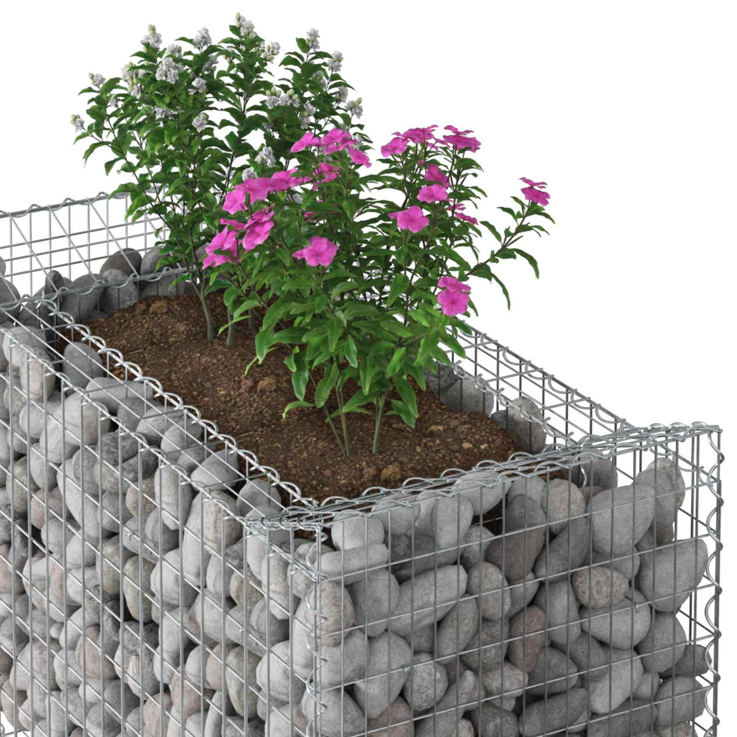 Gabion hevet seng Sølv