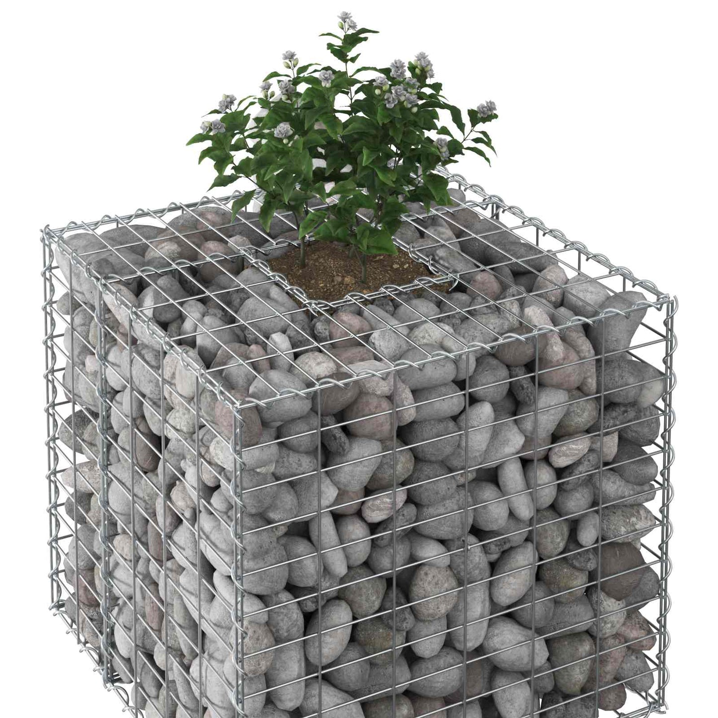 Gabion hevet seng sølv 60 x 60 x 55 cm Galvanisert Stål vidaXL