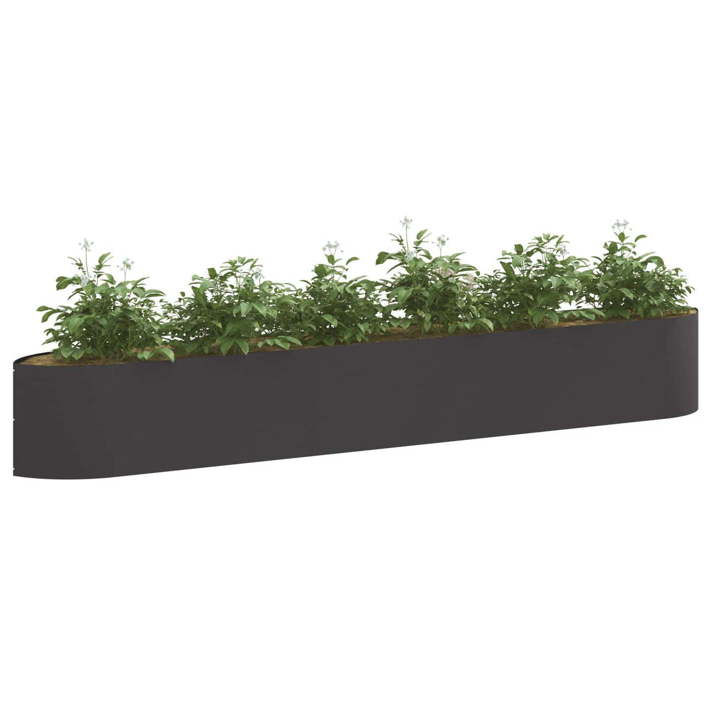 Hevet Hagebed Svart 300 x 40 x 40 cm Stål
